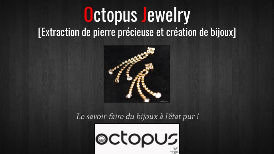Octopus Jewelry.jpg
