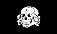2000px-SS_Totenkopf_Fahne.svg.png