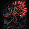 La Rose Noir